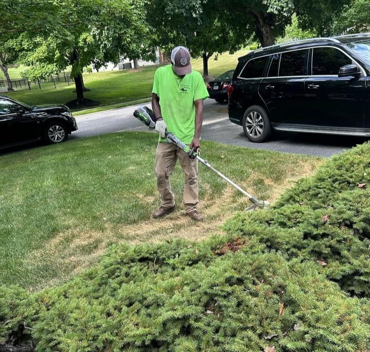 Planting Plant & Trees Photo