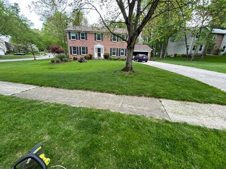 Lawn Care Image 2