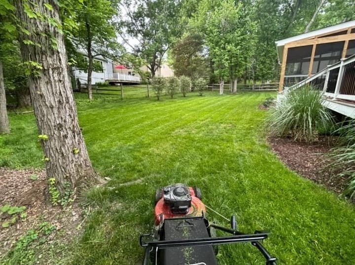 Lawn Care Image 3