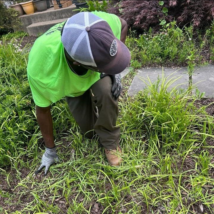 Irrigation System Photo