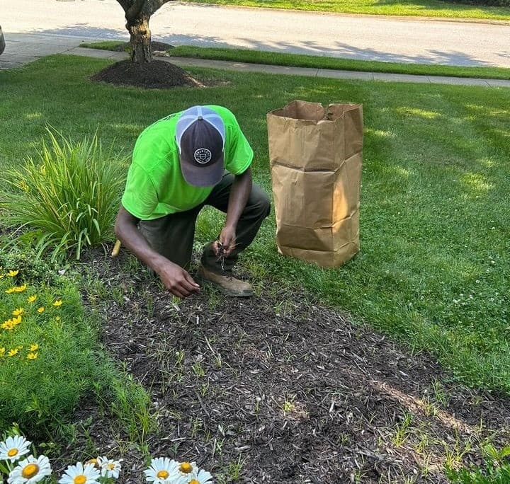 Tree and Shrub Care Photo